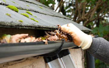 gutter cleaning Branksome