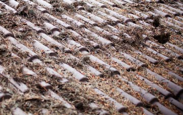 Branksome roof cleaning companies