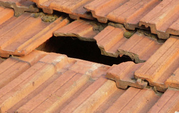 roof repair Branksome
