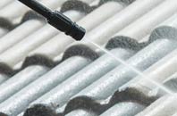 rated Branksome roof cleaning companies